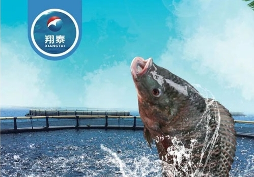 翔泰漁業(yè)深耕【海南鯛】近二十年，堅(jiān)持高品質(zhì)水產(chǎn)品穩(wěn)定供應(yīng)，不斷創(chuàng)新研發(fā)產(chǎn)品以滿足不同市場(chǎng)需求！