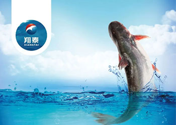 繼金鯧魚、海南鯛之后！翔泰漁業(yè)全力打造第三條精品魚【海南巴沙魚】