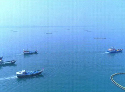 首批漁獲——翔泰2023金鯧魚全面開捕，從南海到餐桌，全程可追溯！